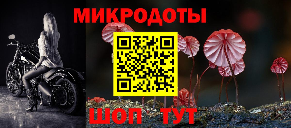 Сланцы  Галлюциногенные грибы Psilocybe  Вход с VPN 