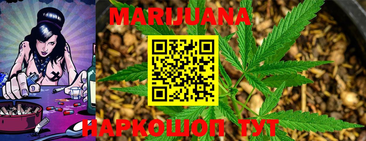 Бошки Шишки планчик  МАРИХУАНА Ganja  Канабис индика  Вход с VPN  Сланцы 